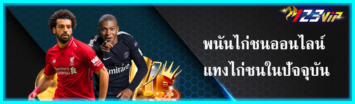 พนันไก่ชนออนไลน์ แทงไก่ชนในปัจจุบัน